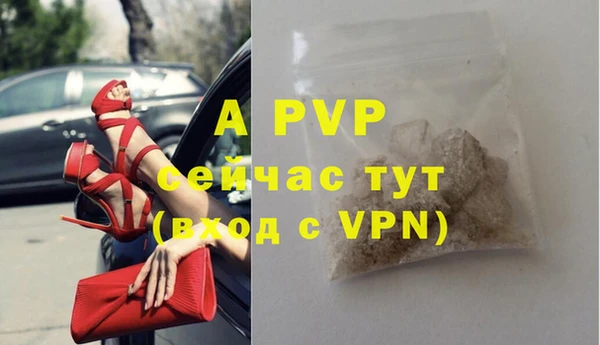 прущие крисы Белокуриха