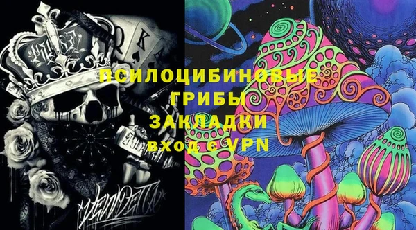 прущие крисы Белокуриха