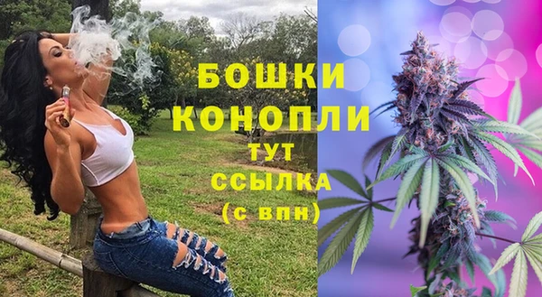 прущие крисы Белокуриха